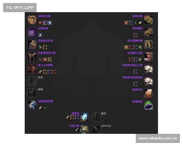 魔兽世界圣骑士盟约装备属性选择指南