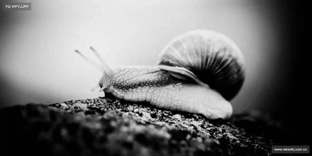 亚星游戏yaxin111——🥋武道精神，唤醒体内的力量